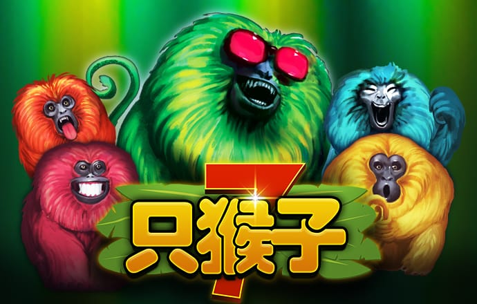 b体育